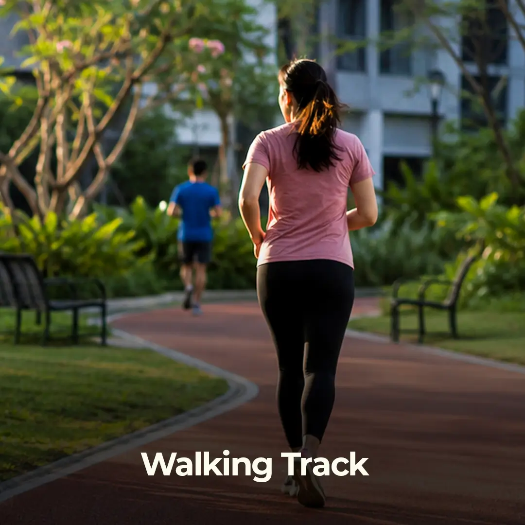 Walking Track